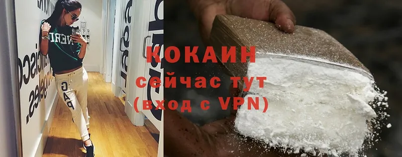 кракен ссылки  Астрахань  Cocaine Fish Scale 