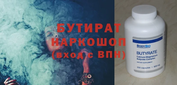 сатива Новозыбков