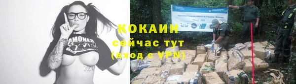 молекула духа Нефтекумск