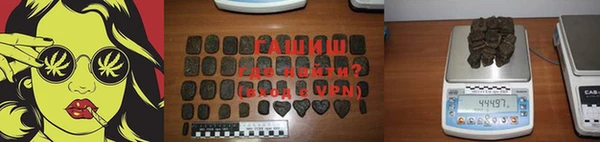 сатива Новозыбков
