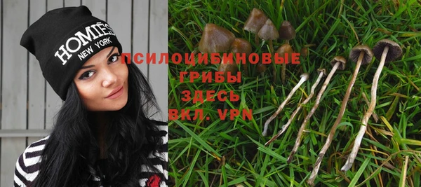 скорость Новокубанск