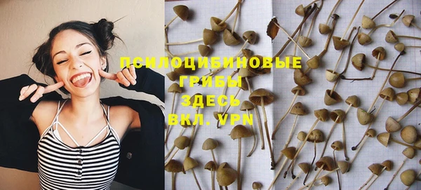apvp Няндома