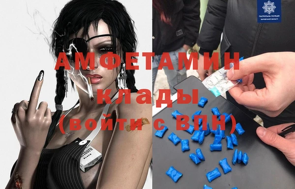 альфа пвп Новодвинск