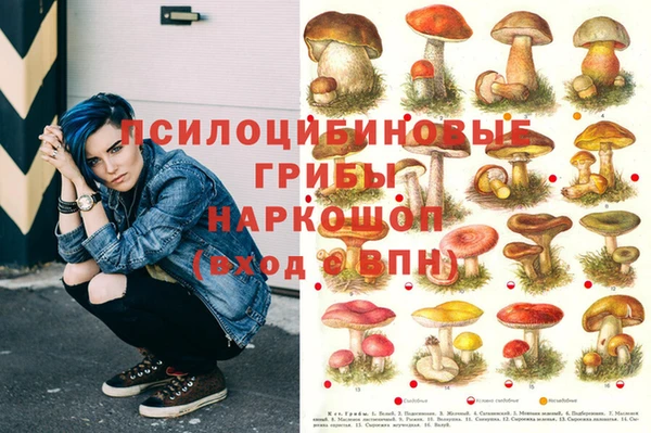 ПСИЛОЦИБИНОВЫЕ ГРИБЫ Нягань