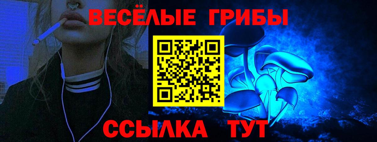 Псилоцибиновые грибы ЛСД Астрахань